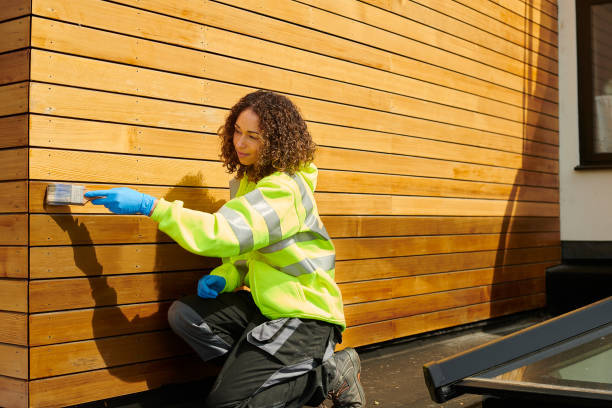 Best Steel Siding Installation  in Clayton, GA