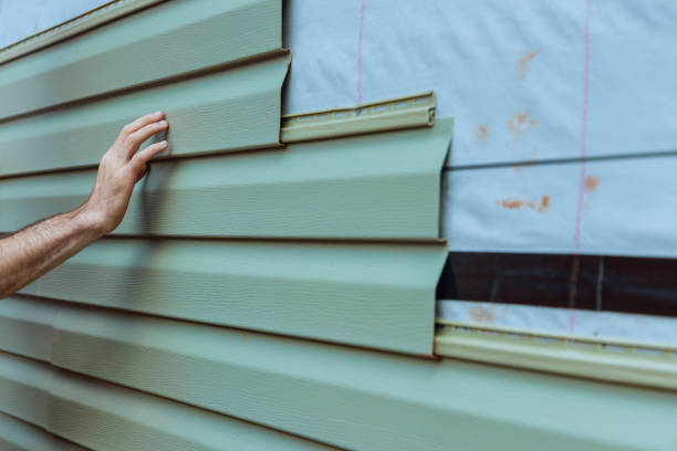 Best Brick Veneer Siding  in Clayton, GA